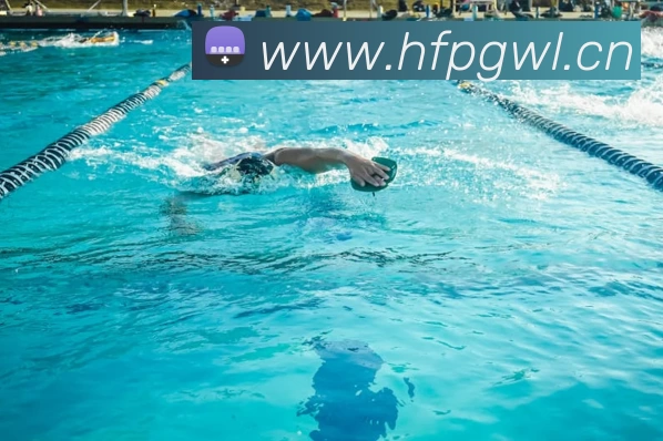 星空·综合(中国体育)官方网站平台生态图